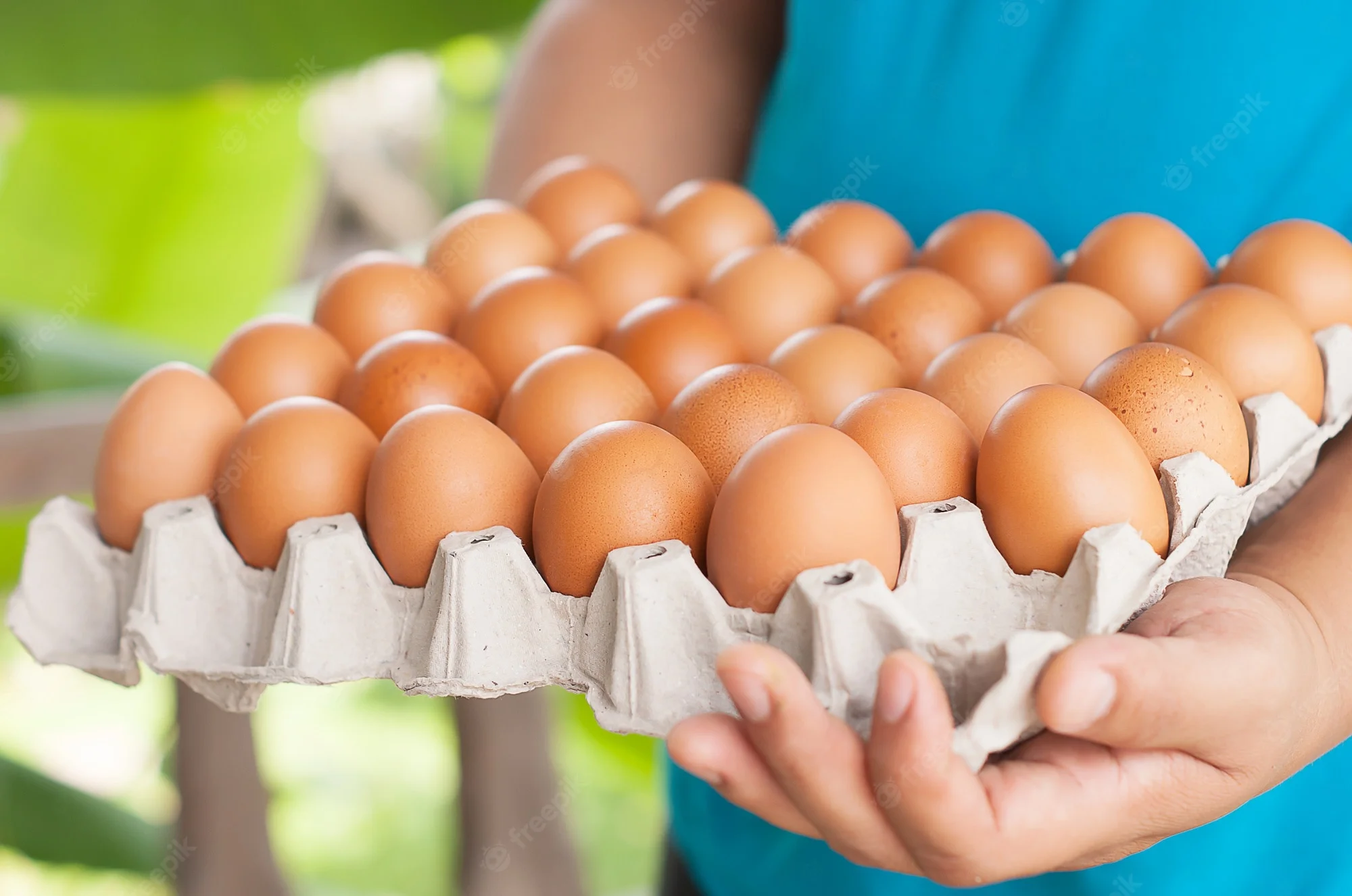 أسعار كرتونة البيض اليوم الاربعاء 13 مارس 2024 في السوق المحلية 1