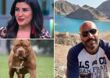 القبض على خادمة الإعلامية أميرة شنب بسبب "كلبها" 1
