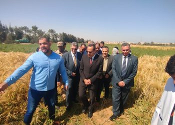 محافظ شمال سيناء يشهد موسم حصاد القمح بمدرسة الزراعة في العريش