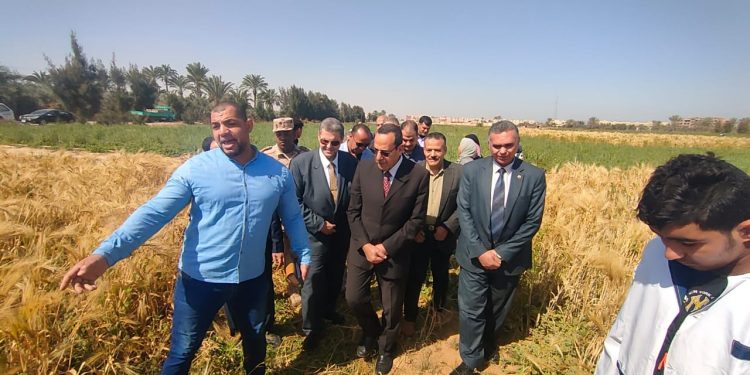 محافظ شمال سيناء يشهد موسم حصاد القمح بمدرسة الزراعة في العريش