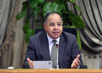 وزير المالية: الحكومة تفرج عن 27 ألف سيارة من الإعلان مبادرة استيراد سيارات المصريين بالخارج 4