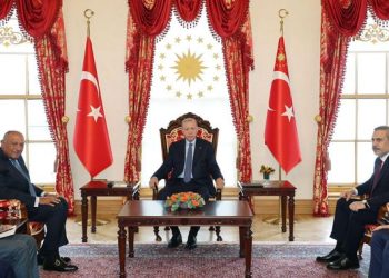 إردوغان يستقبل وزير الخارجية المصري