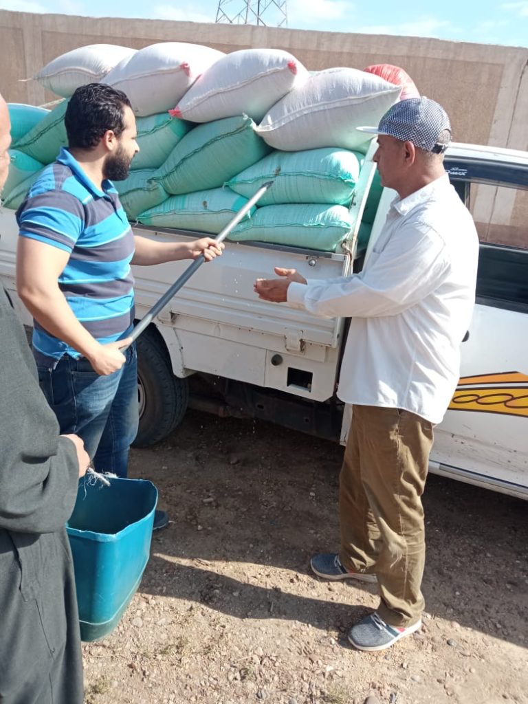البنك الزراعي المصري يبدأ استلام محصول القمح من المزارعين والموردين في 190 موقع على مستوى الجمهورية 3