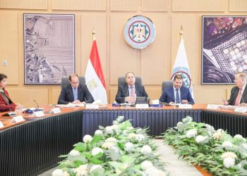 وزير المالية: الأولويات الرئاسية في "الجمهورية الجديدة" سوف تغير الوجه الاقتصادي لـ مصر 3