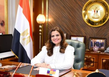 ردًا على استفسارات المصريين بالخارج.. وزيرة الهجرة: 28 أبريل الجاري نهاية "مبادرة السيارات" 9
