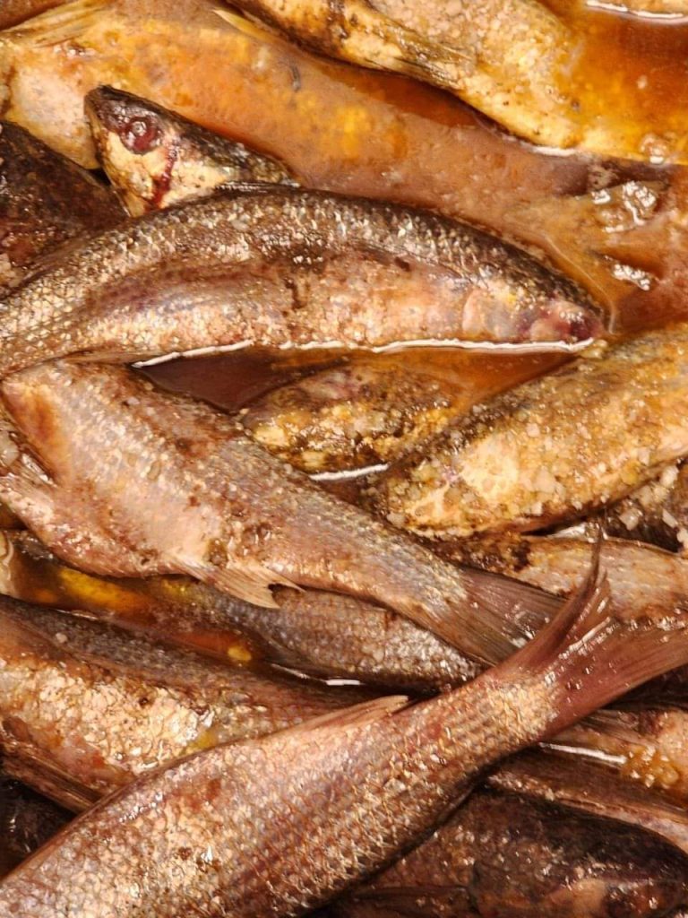 ضبط 500 كيلو أسماك مملحة فاسدة قبل بيعها بالأسواق في الإسماعيلية 4