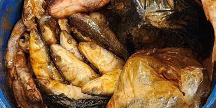 ضبط 500 كيلو أسماك مملحة فاسدة قبل بيعها بالأسواق في الإسماعيلية 1