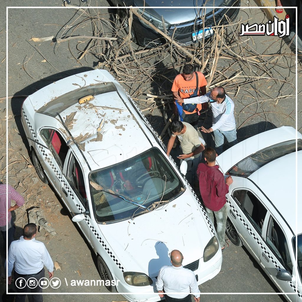 أكلها السوس.. انهيار شجرة ضخمة على سيارة تاكسي بها ركاب بـ شارع مصدق بالدقي (صور) 2