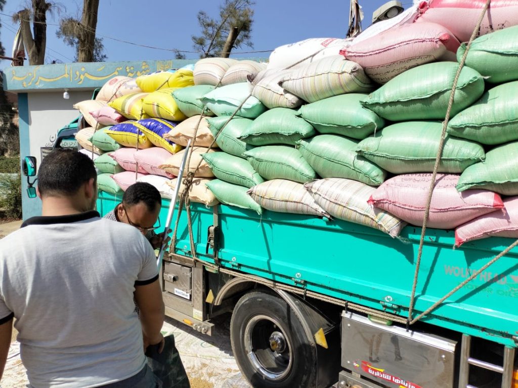 البنك الزراعي المصري يبدأ استلام محصول القمح من المزارعين والموردين في 190 موقع على مستوى الجمهورية 2