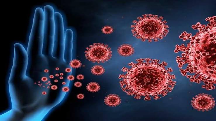 لتجنب العدوى.. 7 نصائح لتقوية المناعة ومكافحة الأمراض 4