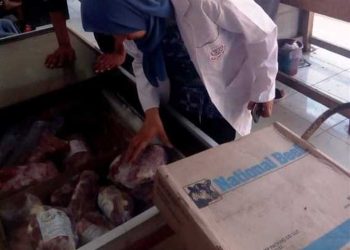 الطب البيطري بالشرقية: ضبط 1.5 طن أسماك ولحوم غير صالحة للاستهلاك الآدمي 6