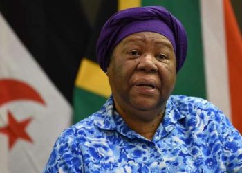 وزيرة خارجية جنوب إفريقيا: سنمضي قدما في قضيتنا ضد إسرائيل أمام العدل الدولية 4