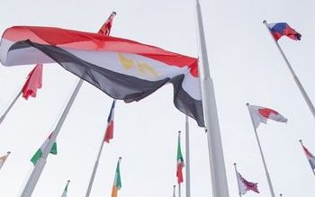 الصحة: رفع العلم المصري داخل مقر الوكالة الدولية لبحوث السرطان| صور
