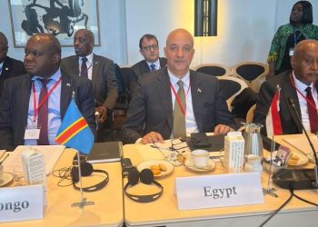 مساعد سامح شكري يشارك في افتتاح مؤتمر وزراء خارجية الدول الأفريقية والنوردية بكوبنهاجن 2