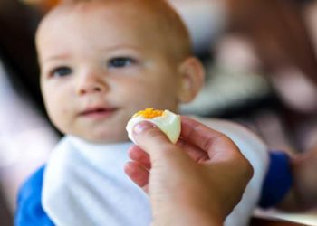5 أسباب تجعل البيض المسلوق ضرورى في وجبة الإفطار لأطفالك؟ 1
