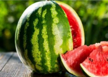 منها محاربة أمراض القلب والسرطان.. تعرف على فوائد البطيخ في الصيف 5
