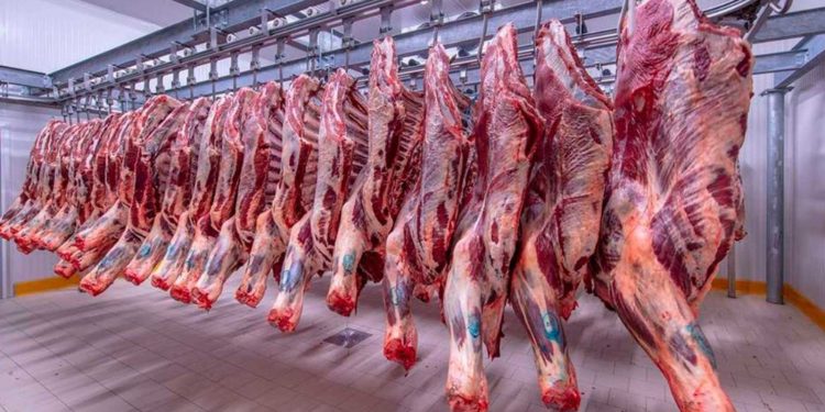 استقرار في أسعار اللحوم الطازجة بمحافظات مصر اليوم 1