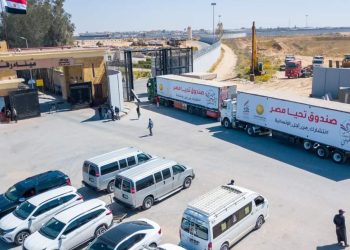 وصول 1840 طن مساعدات إنسانية من صندوق تحيا مصر إلى قطاع غزة 2