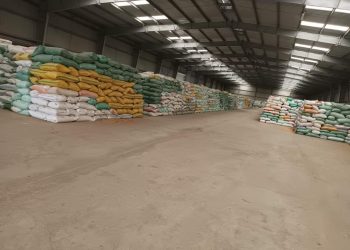 محافظ دمياط: وصول الكمية الموردة للقمح لأكثر من 26 طن و337 كيلو 2