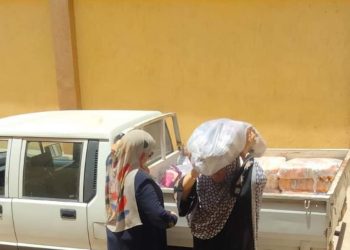 توزيع 1000 دجاجة مواد غذائية على الأسر الإولى بالرعاية بالإسماعيلية 2