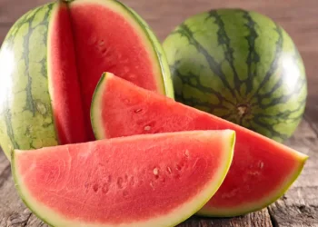 الوزن وشكل القشرة.. وزير الزراعة يكشف علامات جودة البطيخ: وزنها من 5 لـ 8 كيلو 8