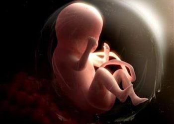 هل يجوز إجهاض الحمل المشوه.. الإفتاء تحسم الجدل 2