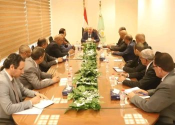 وزير الزراعة يبحث مع المدير التنفيذي لجهاز مستقبل مصر تنسيق التعاون لتحقيق رؤية الدولة الاستراتيجية 1